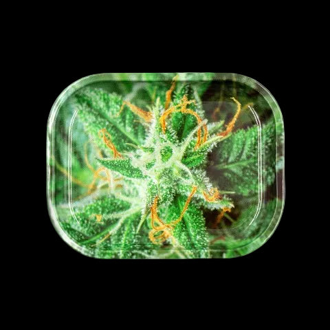 V Syndicate Small AK-47 Tray