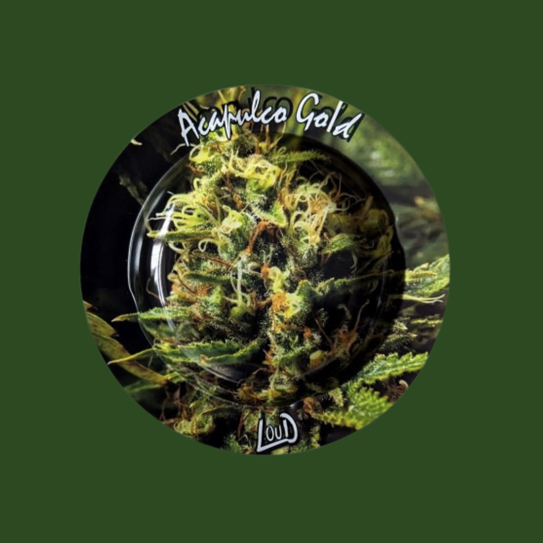 Loud Rolling & Ash Trays