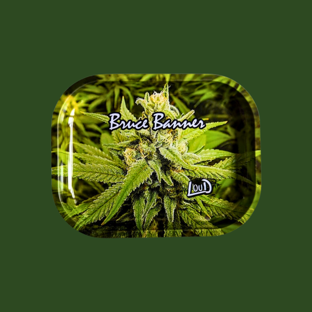 Loud Rolling & Ash Trays