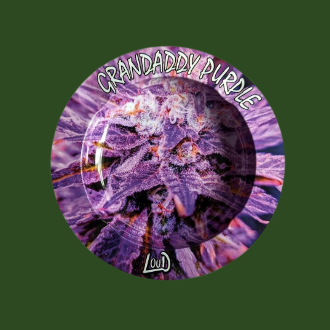 Loud Rolling & Ash Trays
