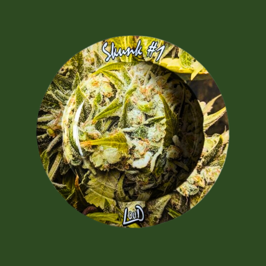 Loud Rolling & Ash Trays