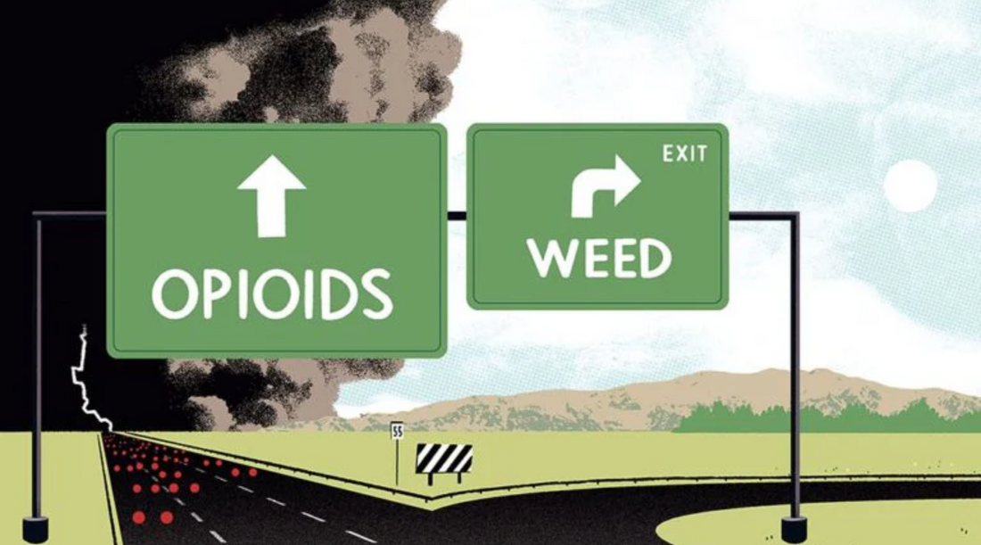 Cannabis as an Exit Drug: A Path Away from Harder Substances