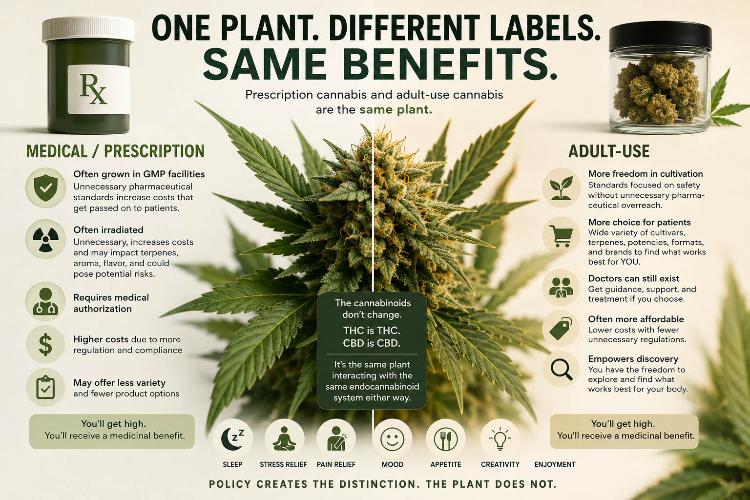 Prescription vs. Adult-Use Cannabis: Two Paths, One Plant