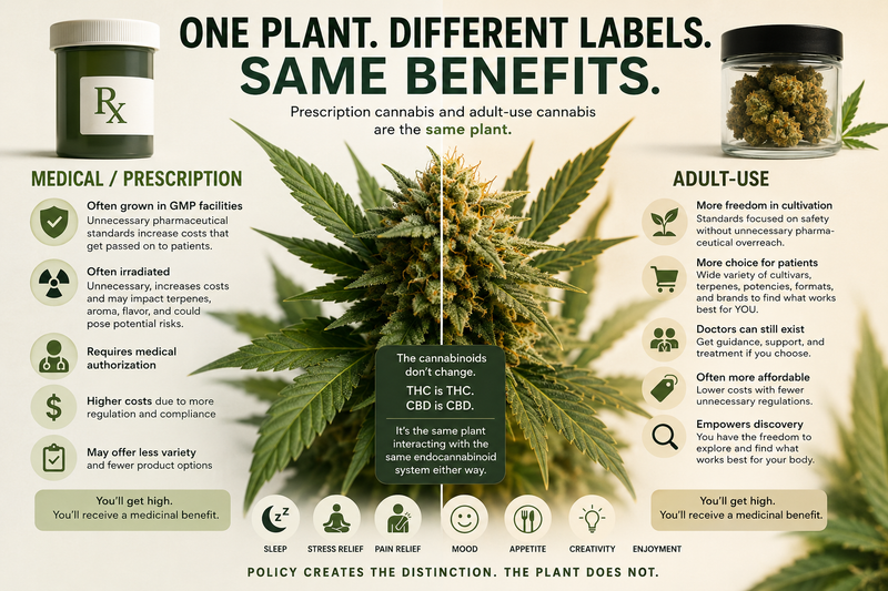 Prescription vs. Adult-Use Cannabis: Two Paths, One Plant