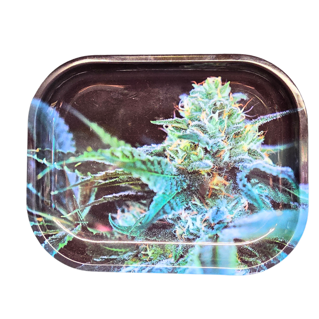 V Syndicate Small Tray
