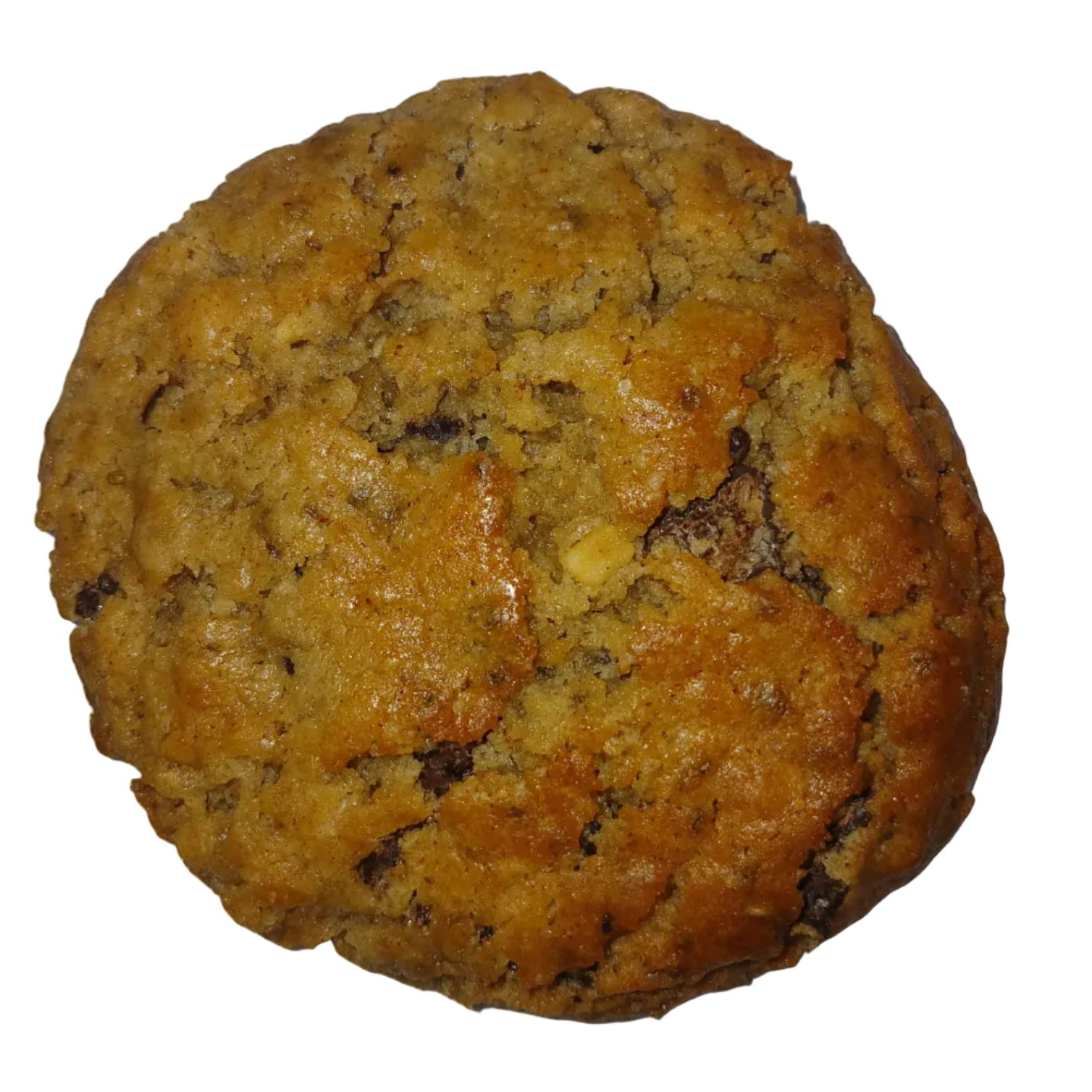 Baked Peanut butter chocolate chip cookie