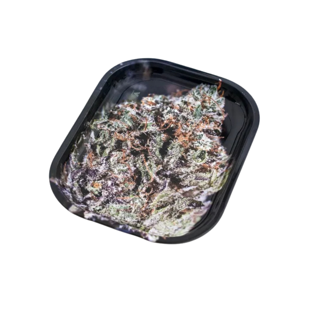 V Syndicate Small Tray
