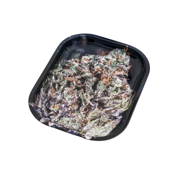 V Syndicate Small Tray