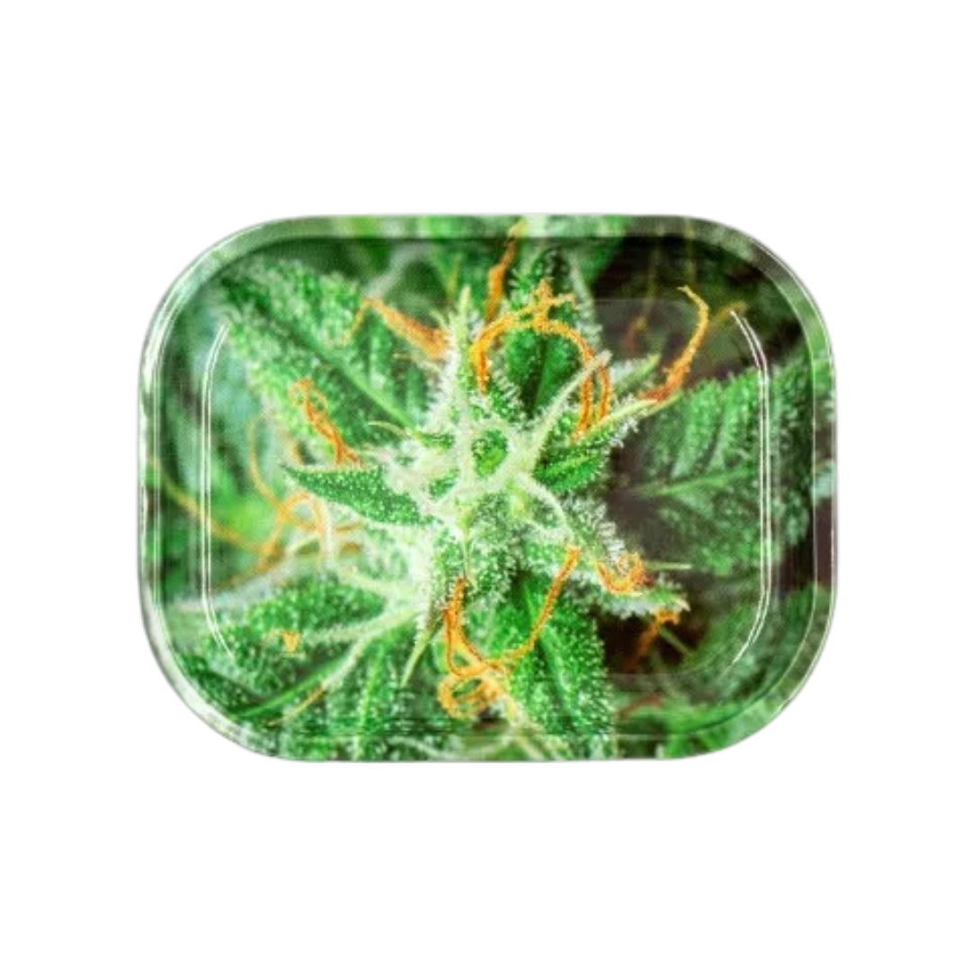 V Syndicate Small Tray