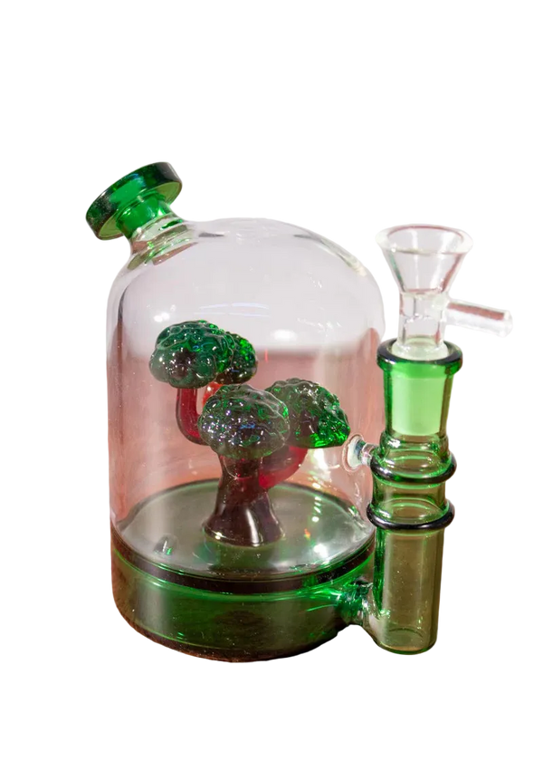 Bonsai Tree Bong