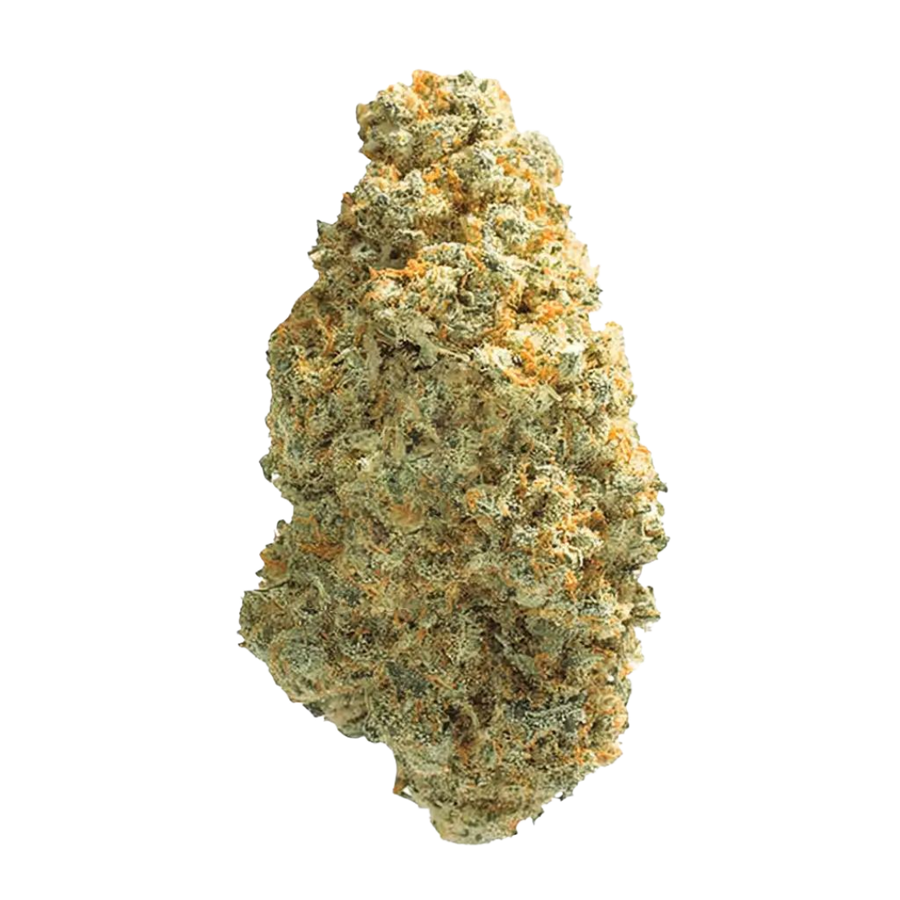 Alien Dawg