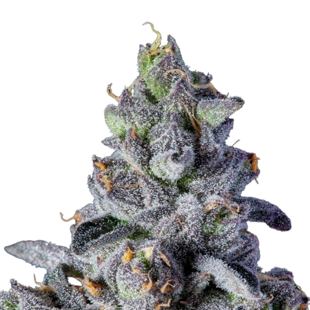 Apples & Bananas