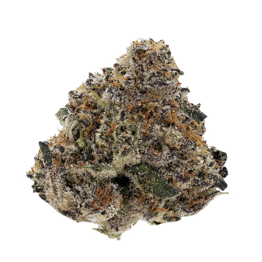 Blueberry Fuego