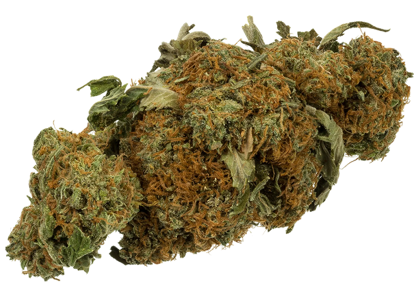 Chemdawg