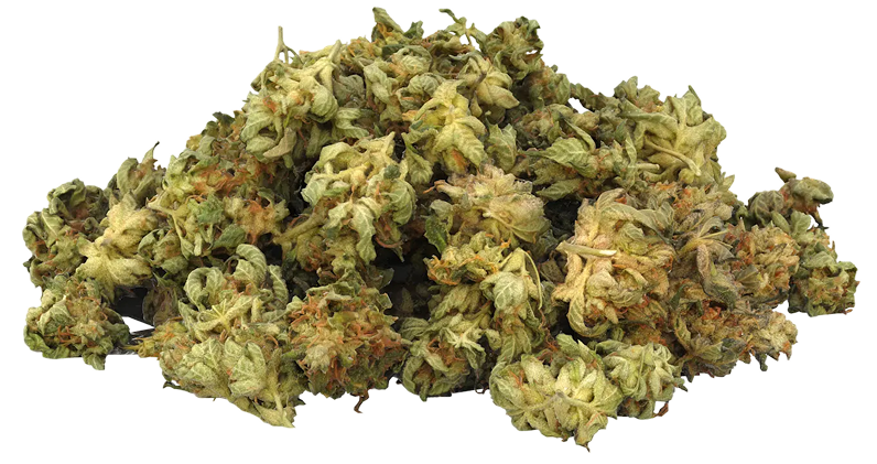 Gelato #33