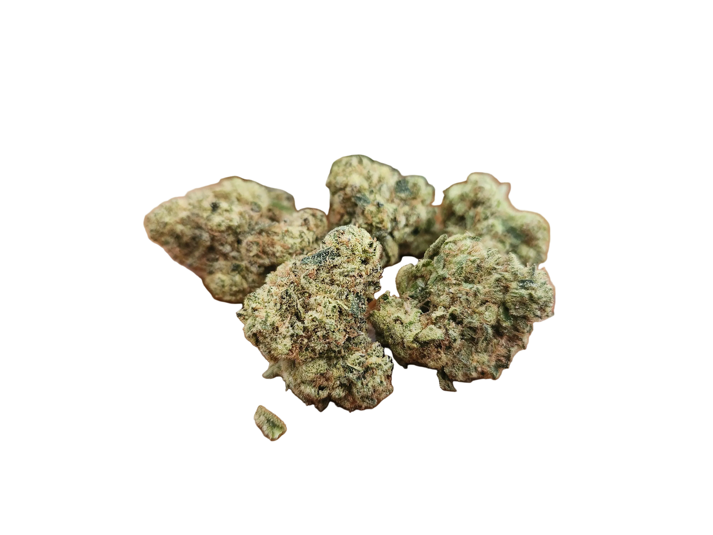 Gelato Orange Cake