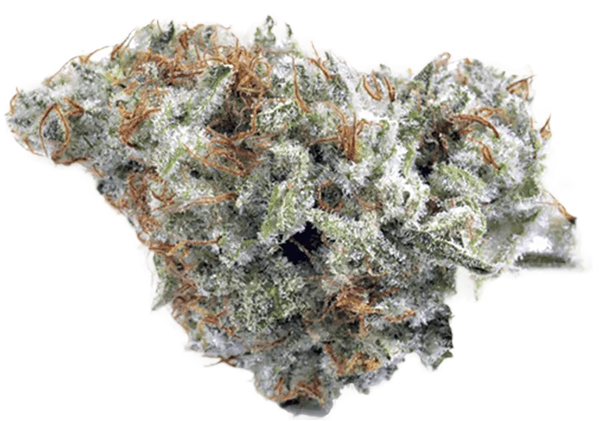 Hindu Kush