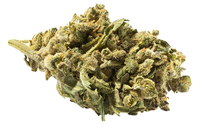 RS11 (Rainbow Sherbert #11)